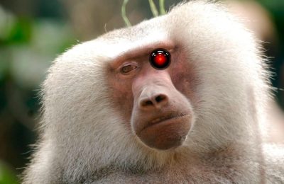 Кракен наркологический